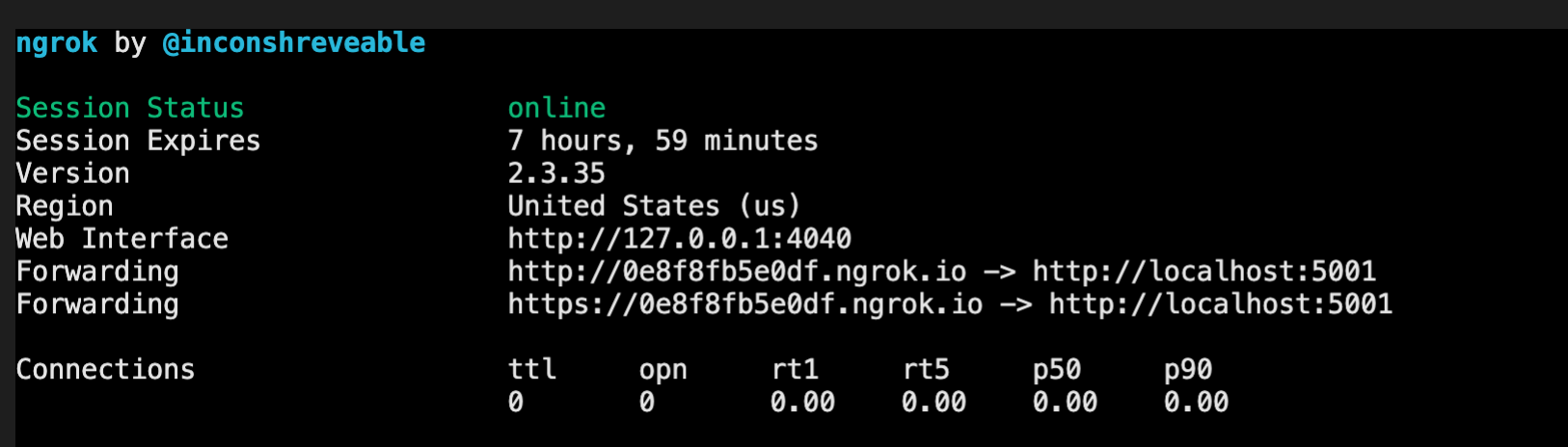 ngrok in the terminal