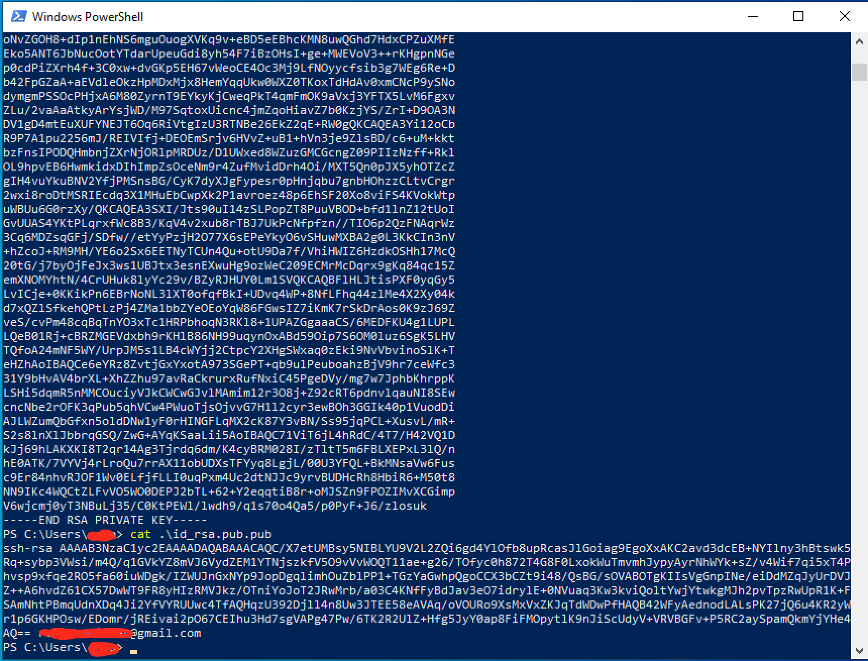 How To Check The SSH Public Key On Windows