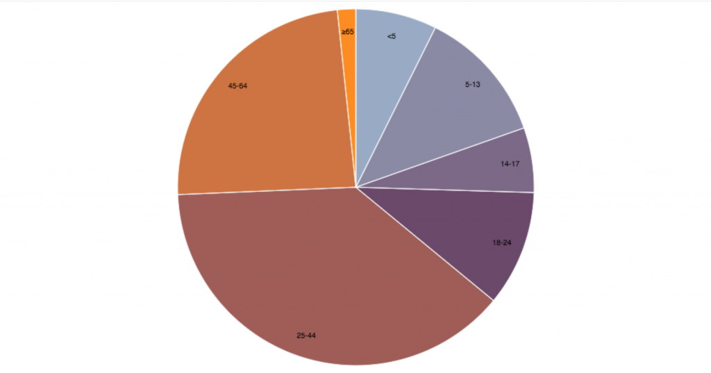 Initial pie-chart. It built using only D3.js